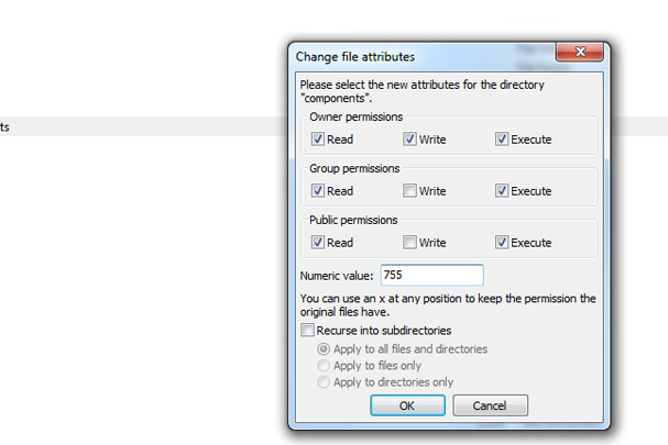 A 755 permission for a directory