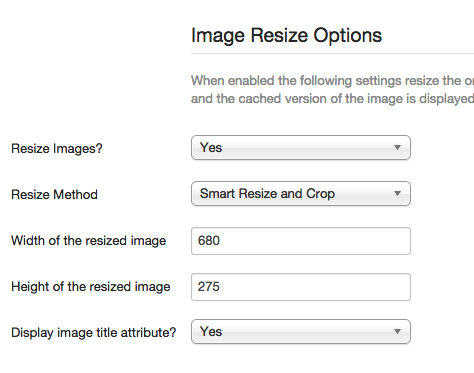 Image resize options